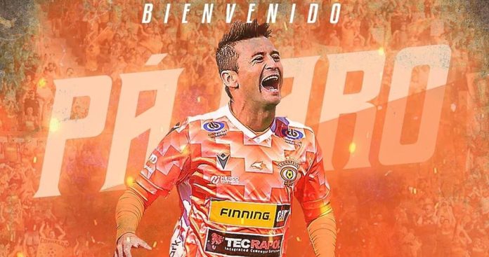 Roberto Gutiérrez es el fichaje estelar de Cobreloa